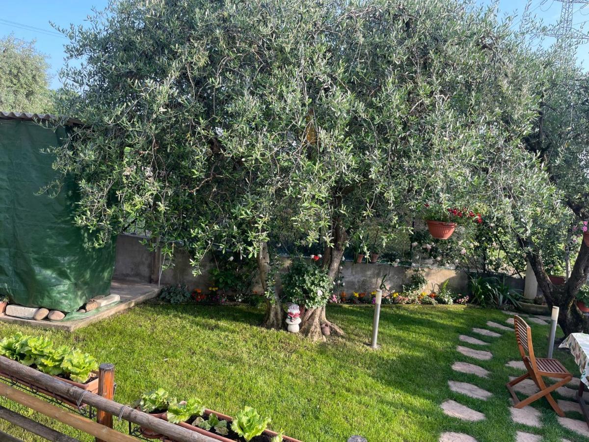 Casa Vacanze Collina Del Lago Pastrengo Exterior foto